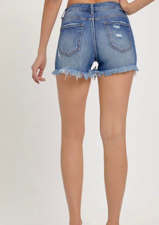High Rise Distressed Shorts