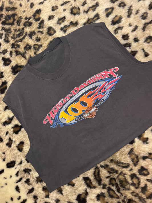 100 HD Tee